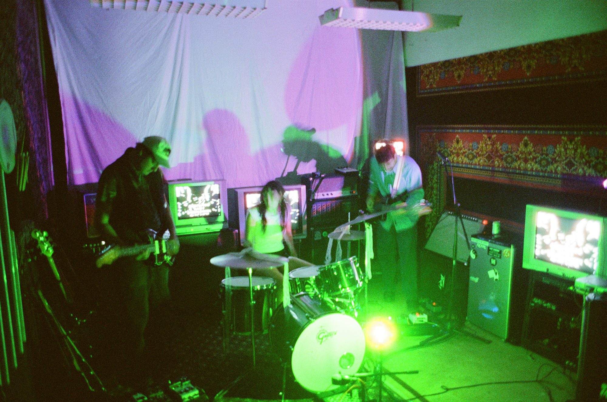 bed bug guru performing live under green and purple stage lights