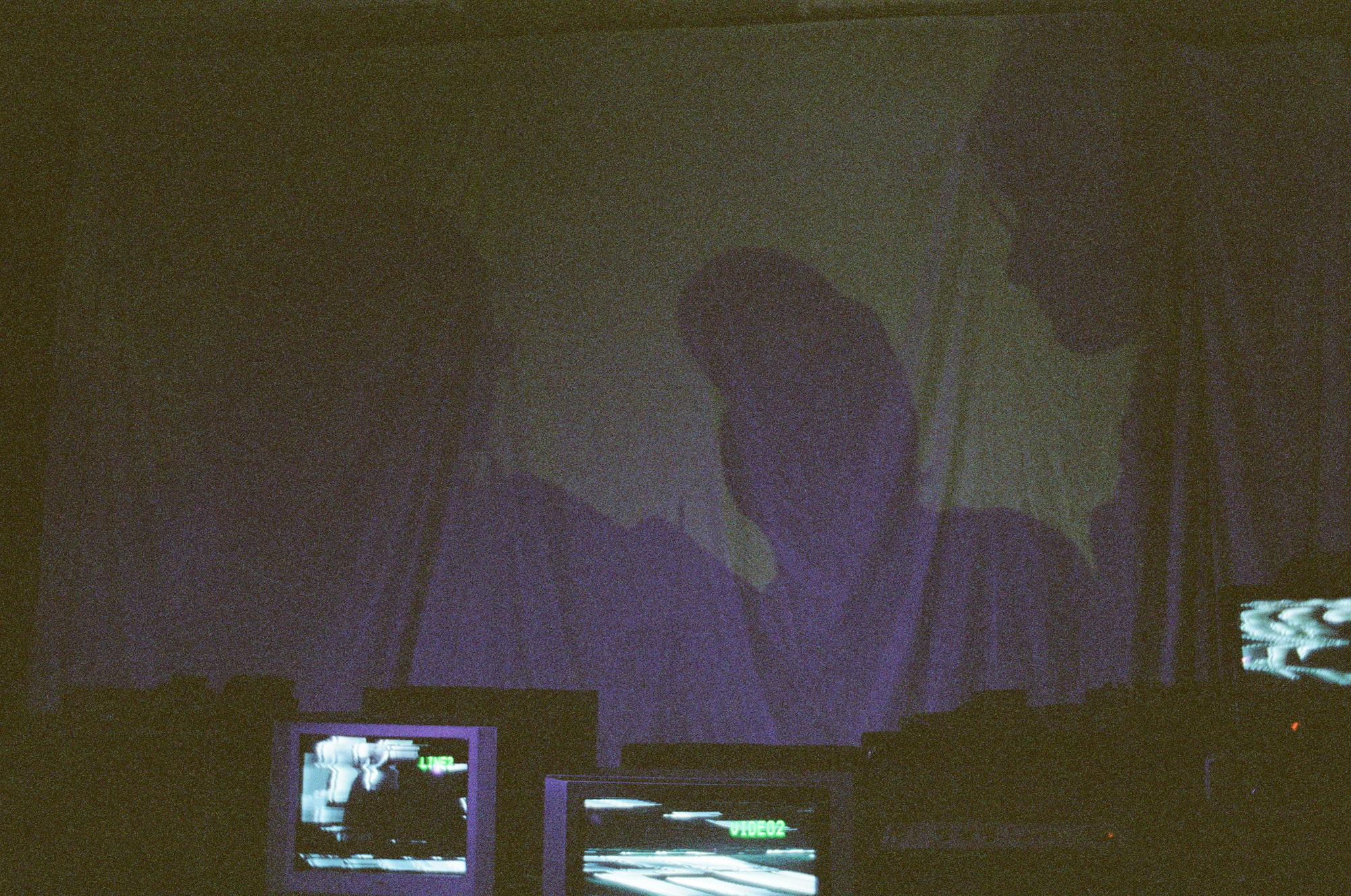 bed bug guru performing live in a dark room with projected video
